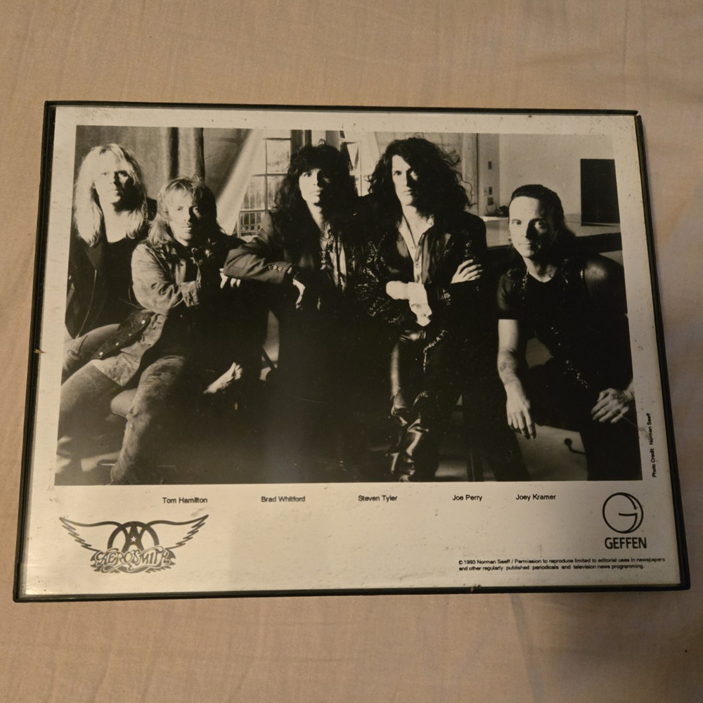 Vintage 1993 Aerosmith Geffen Records Promo Press Photo Framed 8x10 Norman Seeff